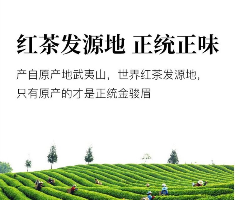 金骏眉红茶武夷山金骏眉茶叶细小甘甜500g线上保障交易
