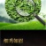 金骏眉红茶武夷山金骏眉茶叶细小甘甜500g线上保障交易
