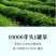 金骏眉红茶武夷山金骏眉茶叶细小甘甜500g线上保障交易