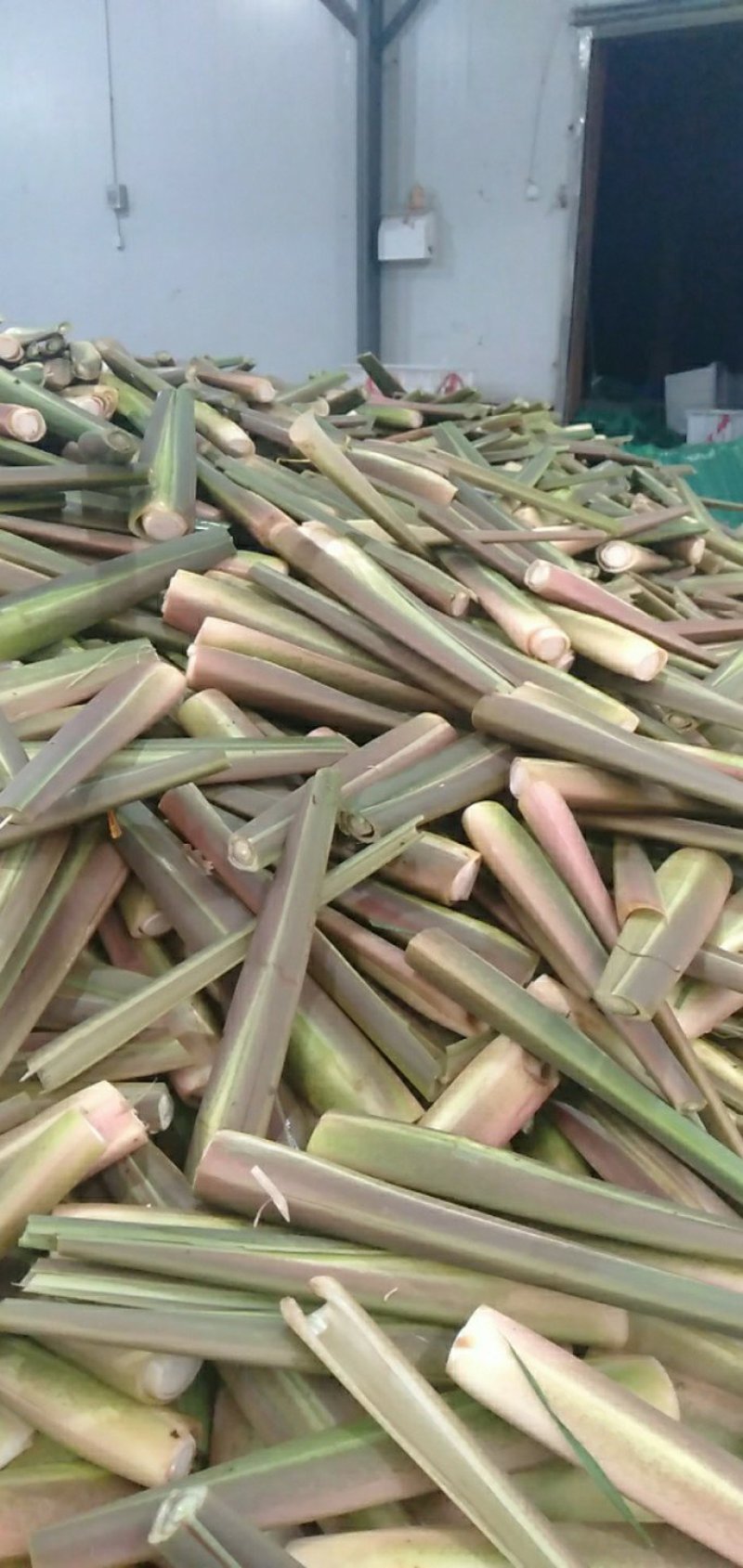 四川精品茭白上车价一块，质量有保证，价格优美，