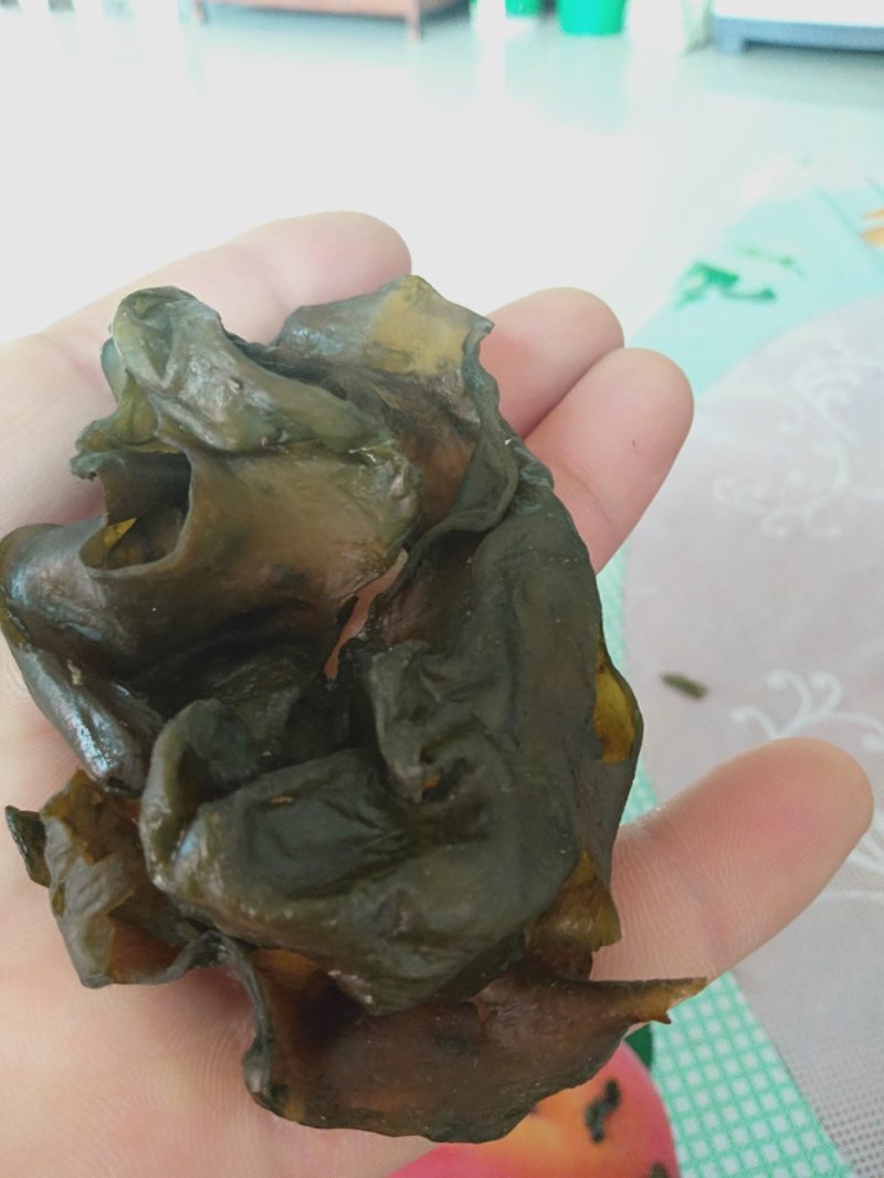地皮菜靓货宁夏地皮菜，长年批发，过筛毛货没杂质干净。