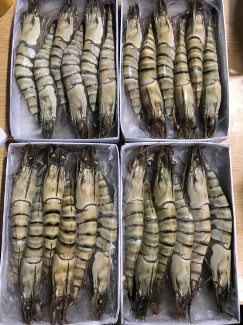 越南生冻黑虎虾，新鲜急冻