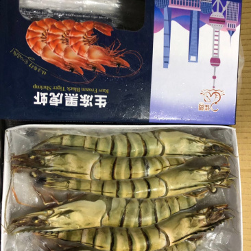 越南生冻黑虎虾，新鲜急冻