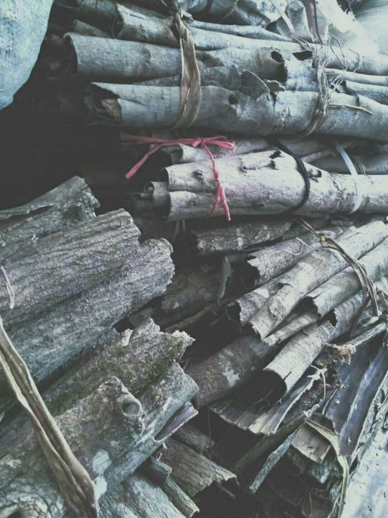 中药材杜仲皮产地直销