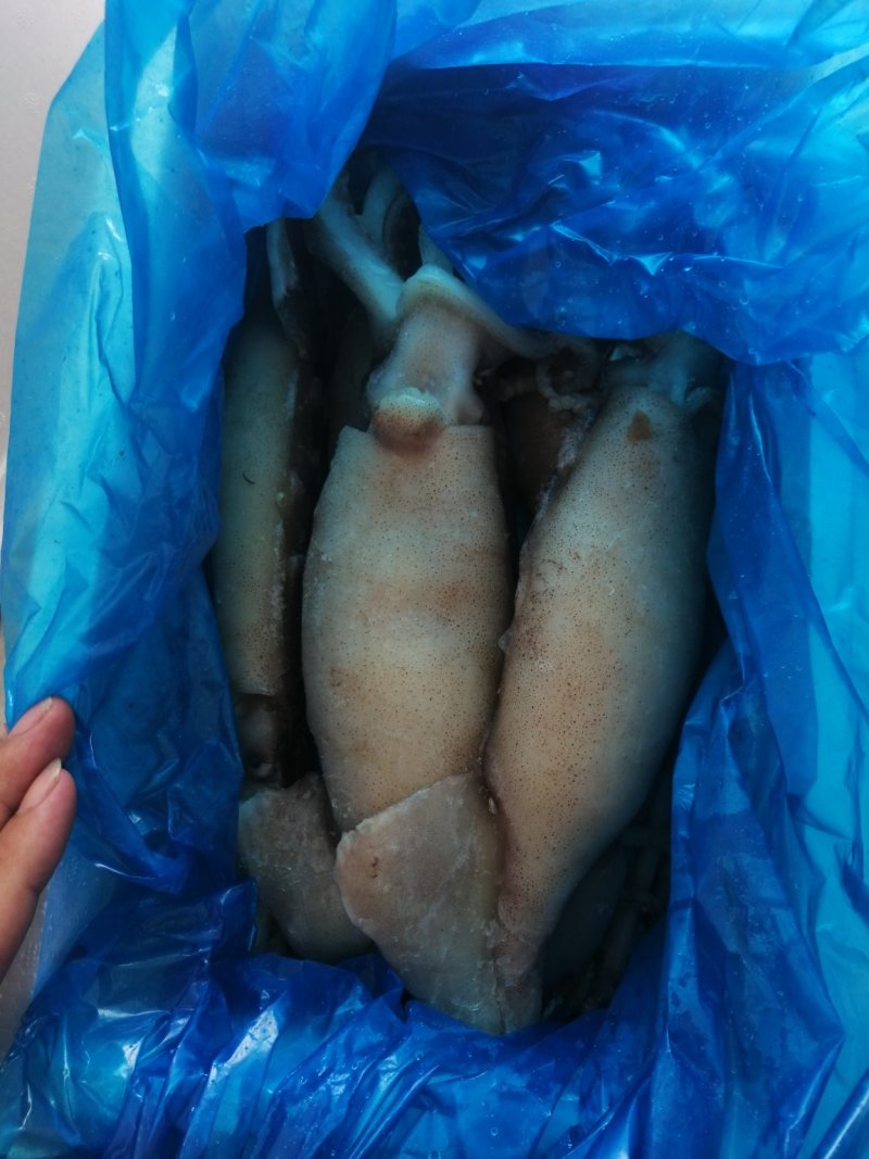 单冻鱿鱼整条鱿鱼大鱿鱼阿根廷鱿鱼品质保证
