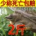 中华甲鱼55元一个包邮，包活到家，质量优良。