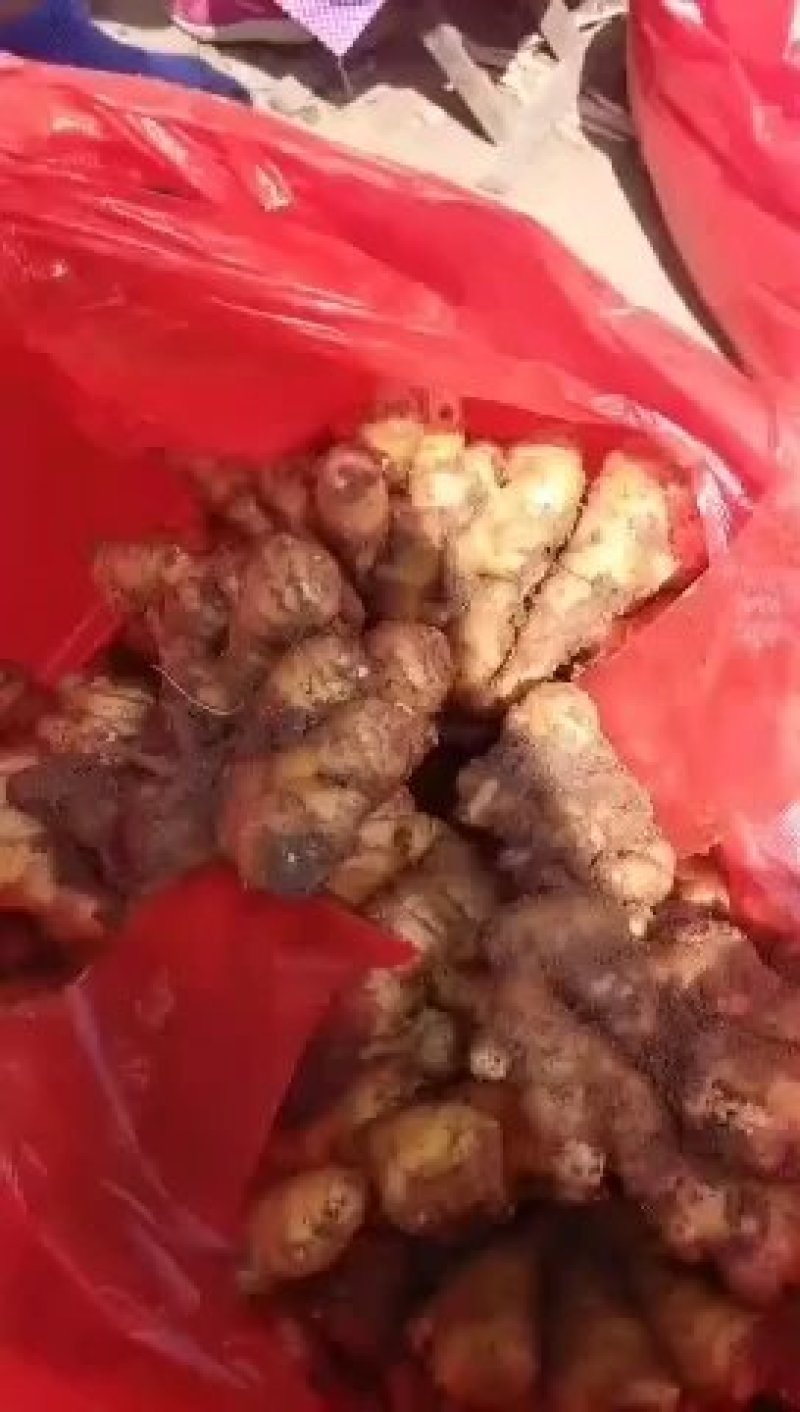 生姜山东生姜批发产地一手货源，块头大颜色黄，坏烂包赔
