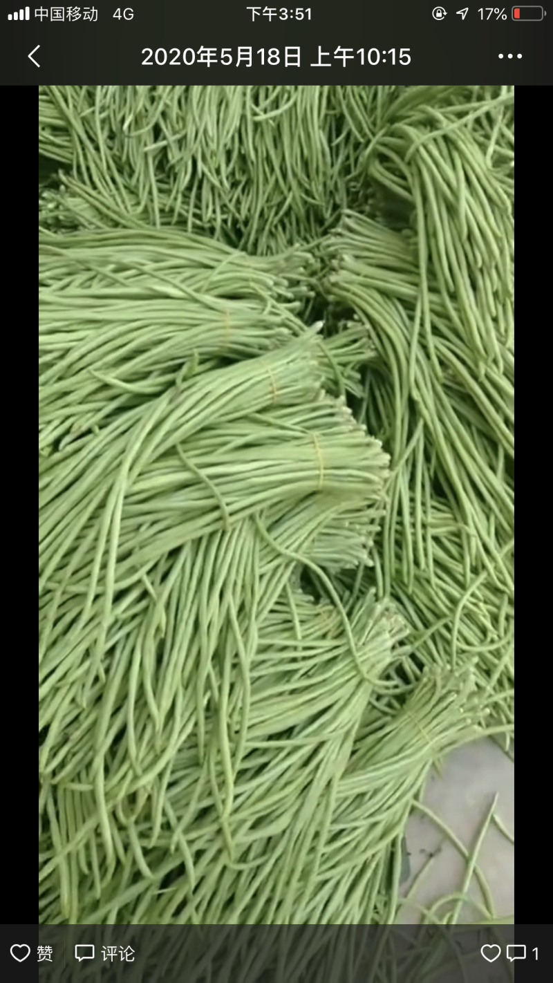 长豆角