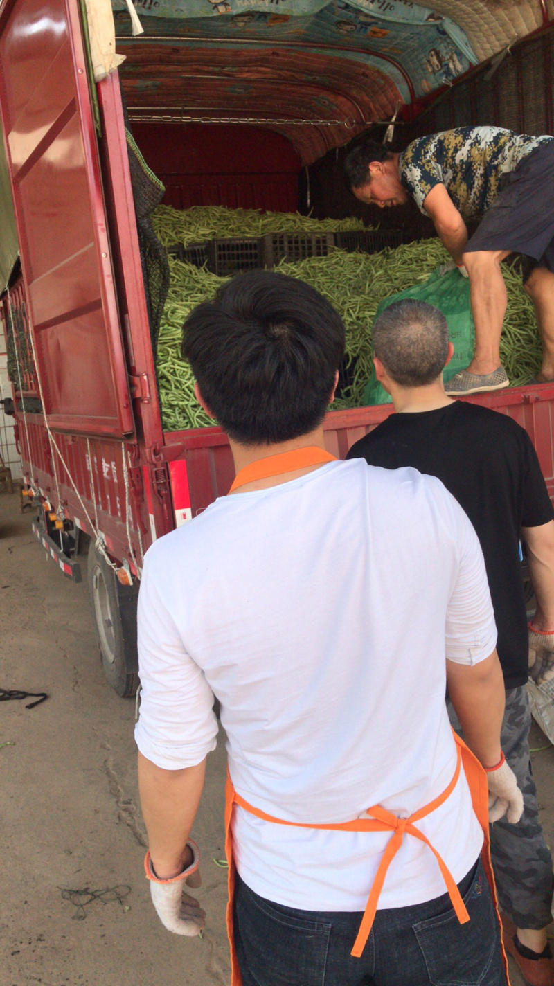 长豆角
