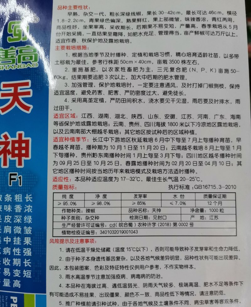 【天神】一代杂交辣椒种子深绿皮粗长线椒种子高产抗病强辣味