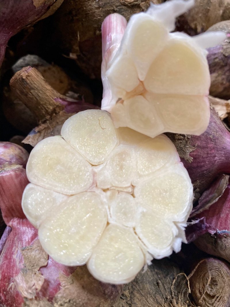 江苏徐州大蒜，干净