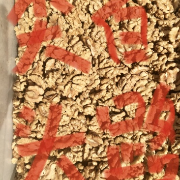 新疆新丰核桃仁，核桃果，健康食品，可视频看货产地直发的