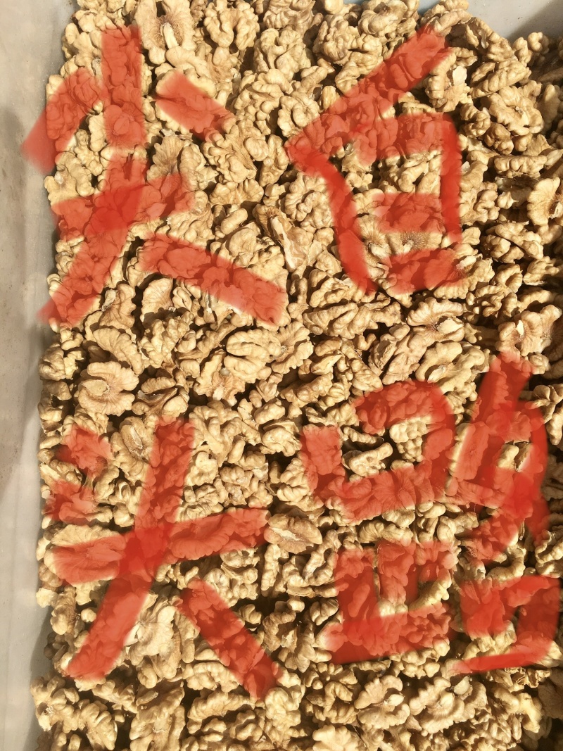 新疆新丰核桃仁，核桃果，健康食品，可视频看货产地直发的