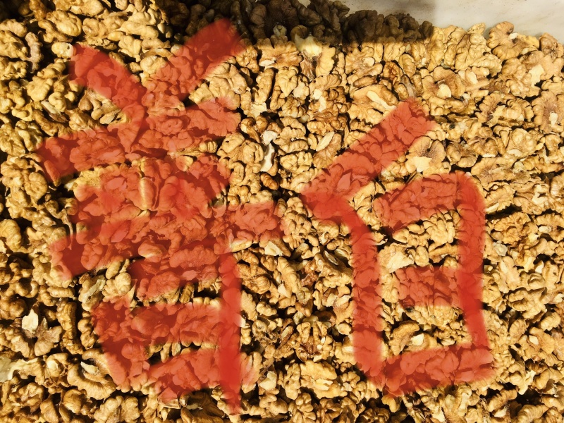 新疆新丰核桃仁，核桃果，健康食品，可视频看货产地直发的