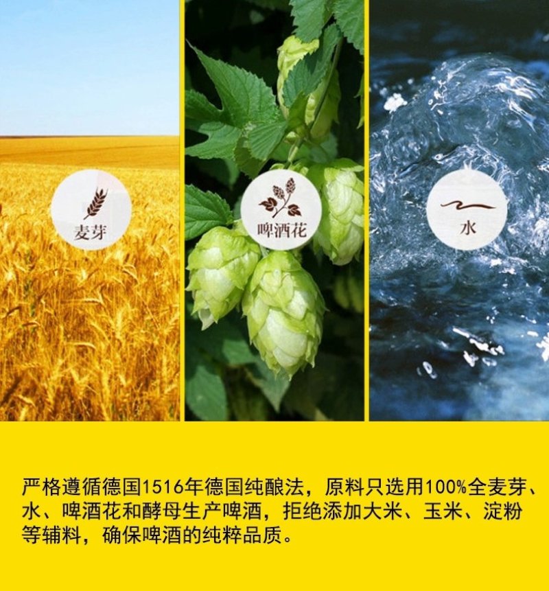 青岛蓝宝石精酿原浆啤酒，比利时风味。淡淡果香、女士专享