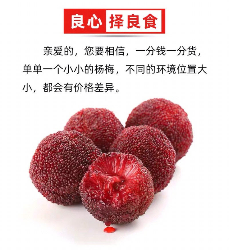 正宗仙居东魁杨梅自家杨梅山产地直销精品包装新鲜直达