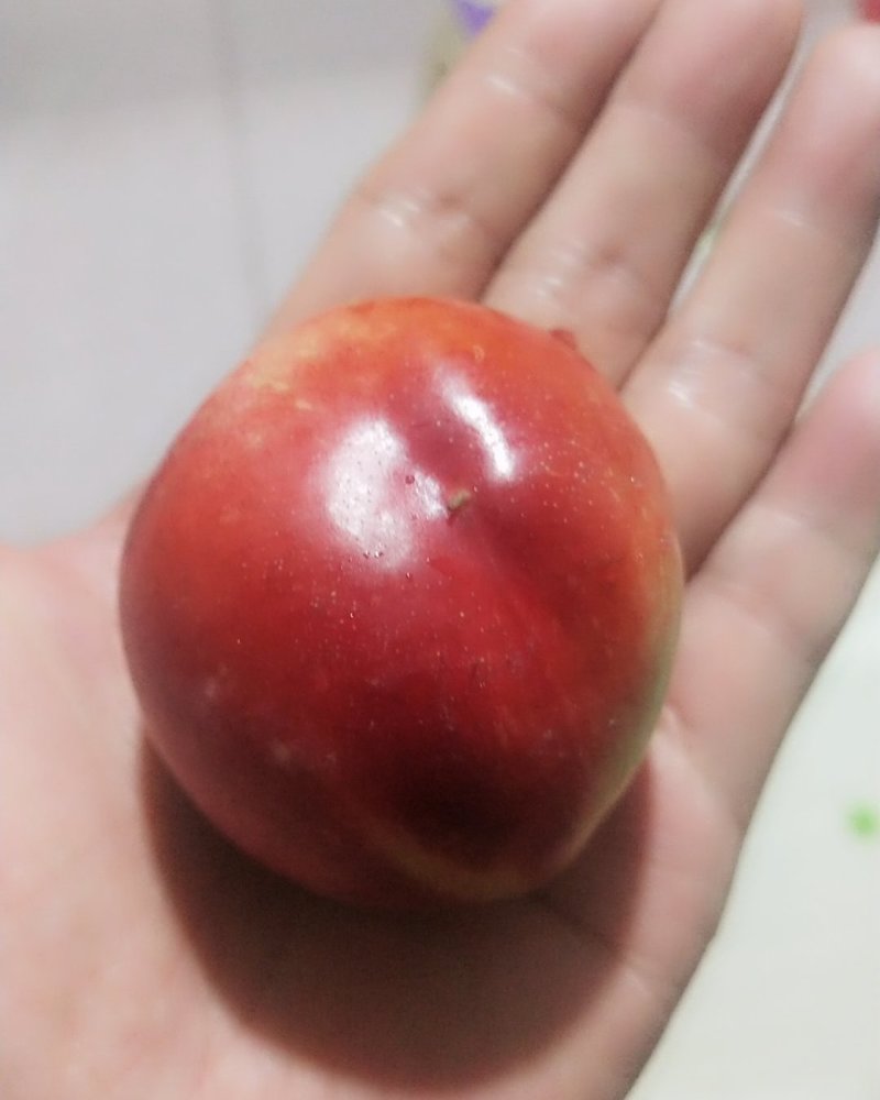 中油油桃