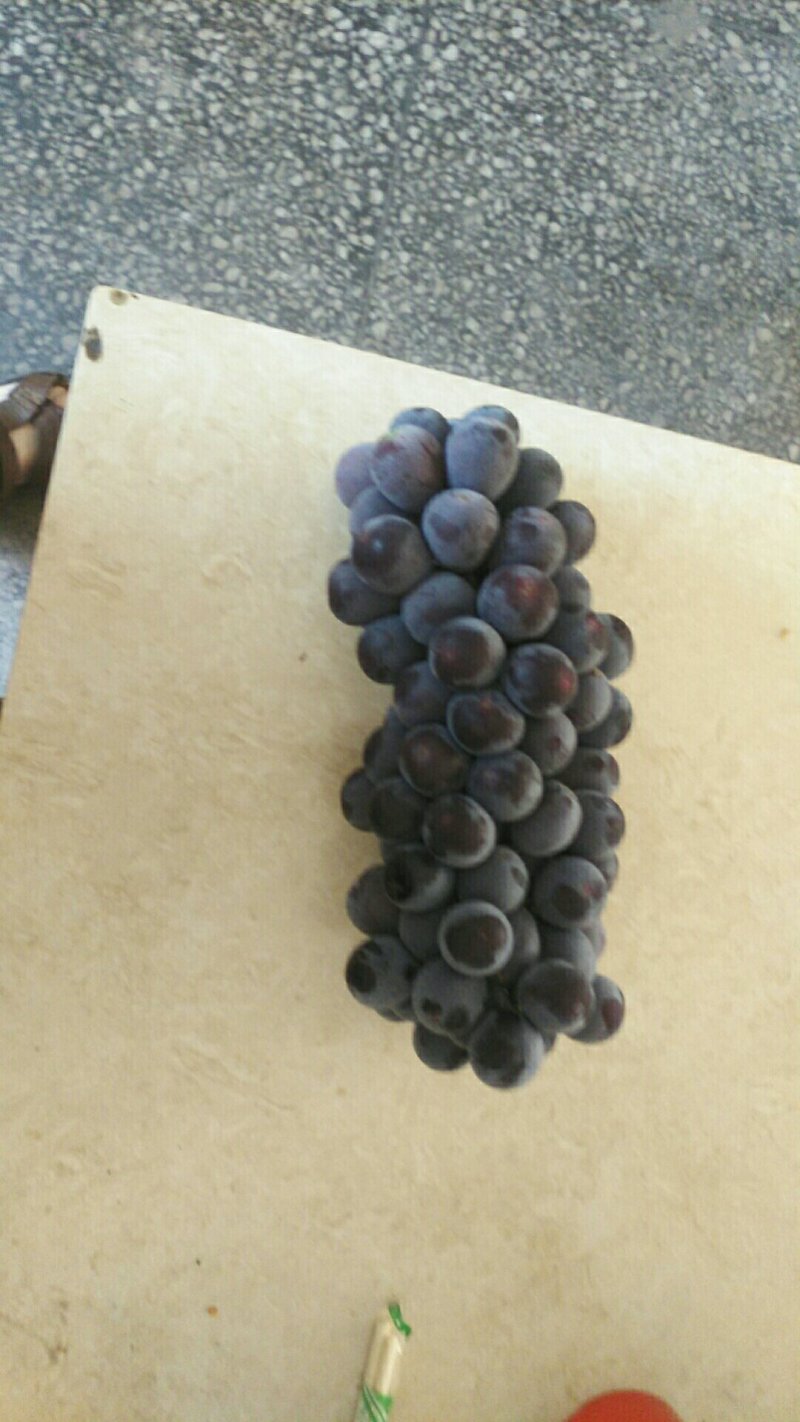葡萄已大量上市