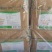 金禾三氯蔗糖食品级甜味剂600倍甜度1000克装包邮
