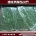 荠菜馅速冻荠菜馅真空包装