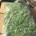 荠菜馅速冻荠菜馅真空包装