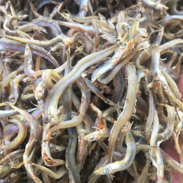 牙签鱼味道鲜美，价格实惠