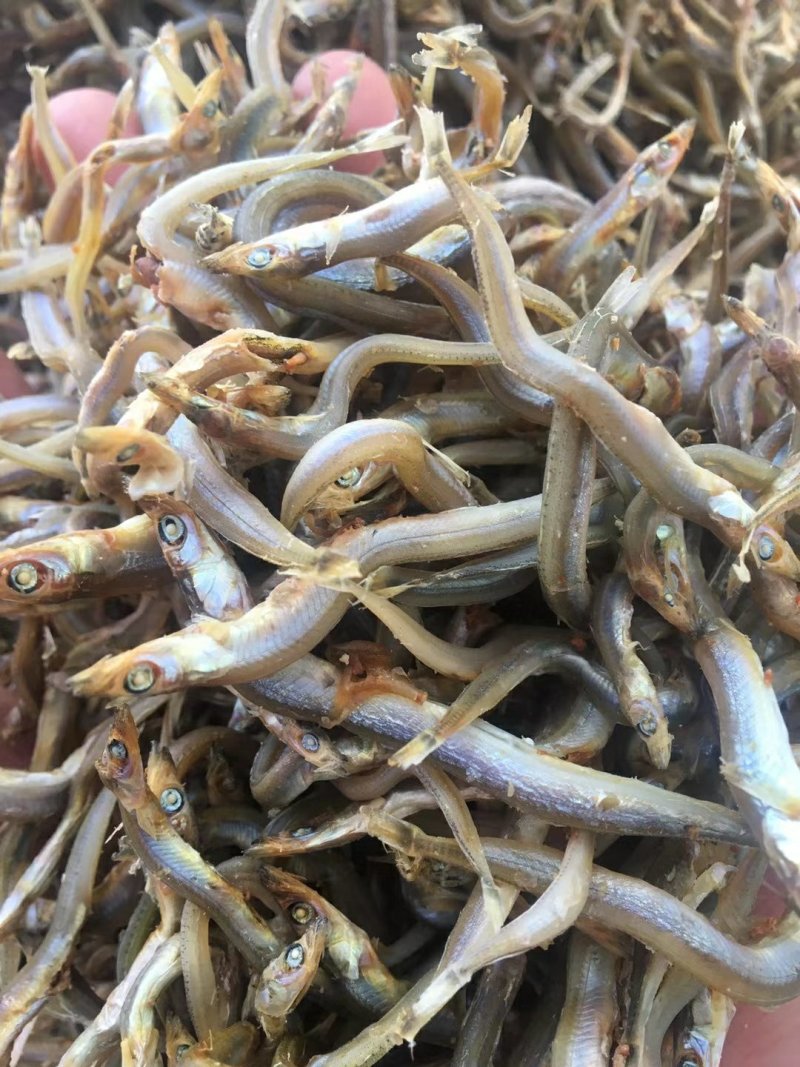 牙签鱼味道鲜美，价格实惠