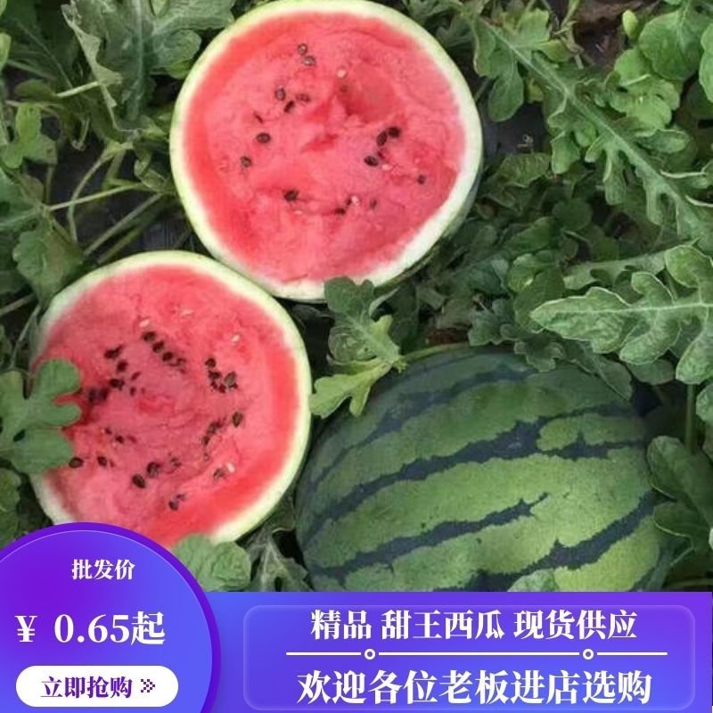 精品甜王西瓜产地直发品质保证诚信合作欢迎来电