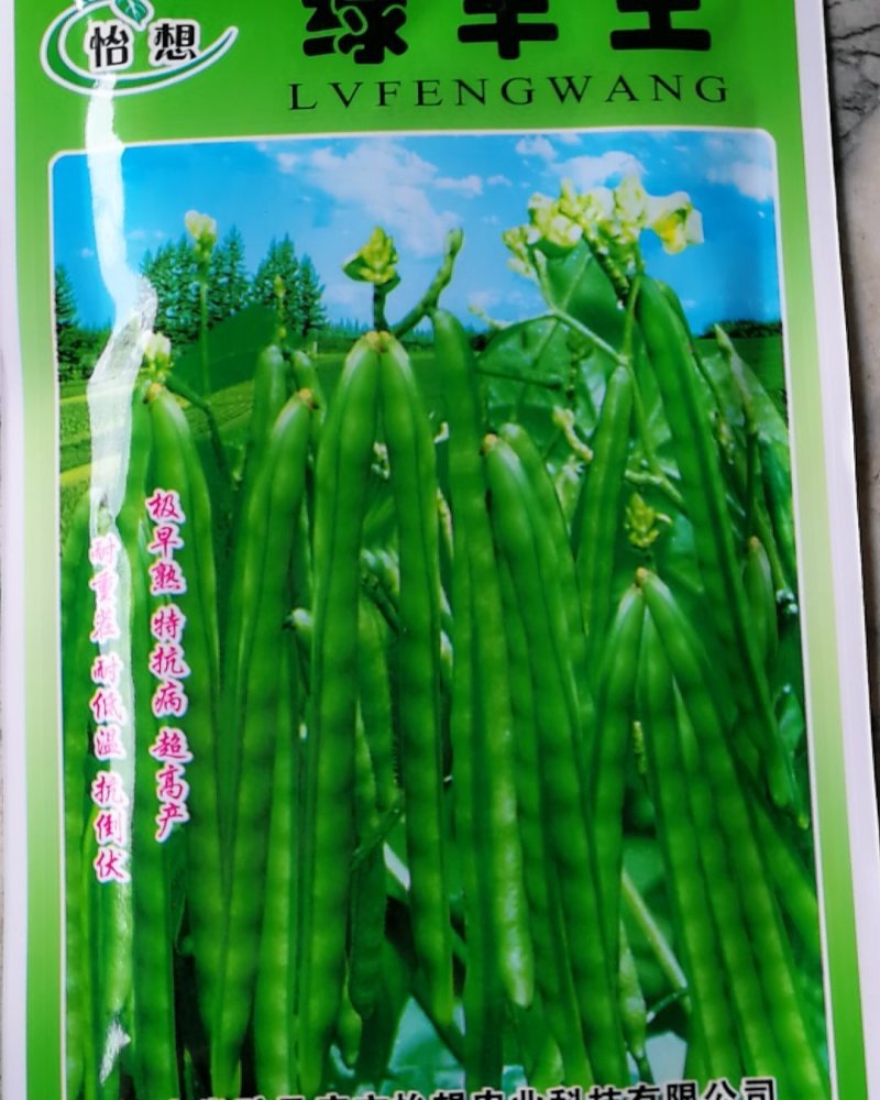 绿丰王绿豆种子，极早熟特抗病超高产，耐重茬耐低温抗倒伏。