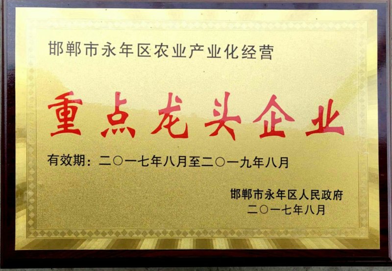 氨基酸水溶肥生根快壮秧膨果增甜着色