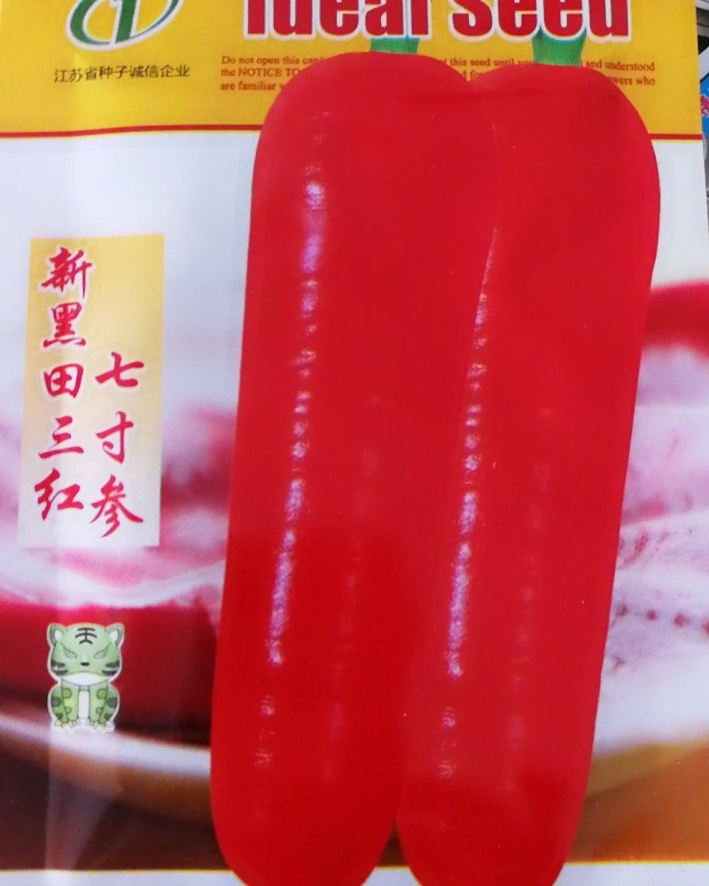胡萝卜种子皮肉及心柱呈鲜橙红色味甜汁多品质佳。