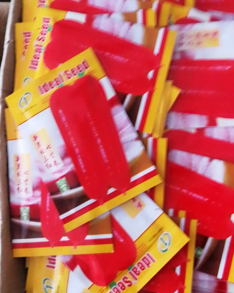 胡萝卜种子皮肉及心柱呈鲜橙红色味甜汁多品质佳。