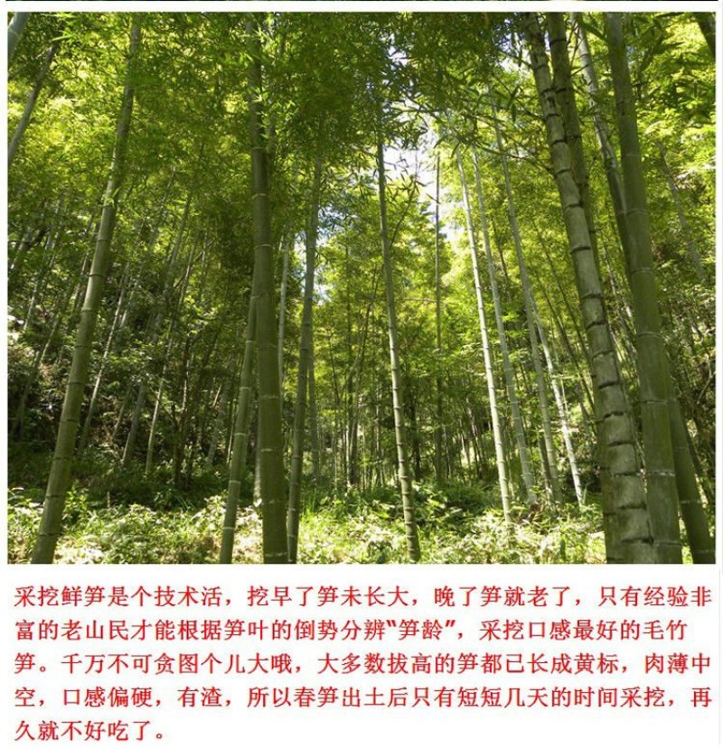 笋干农户一手货源