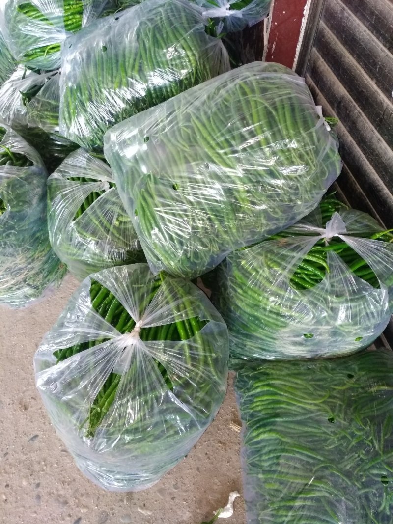 精品新鲜线椒质量好价格便宜有需要的可联系