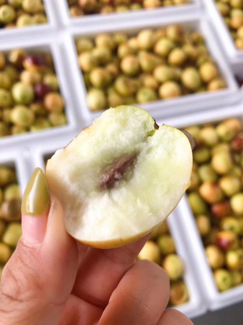 大荔冬枣