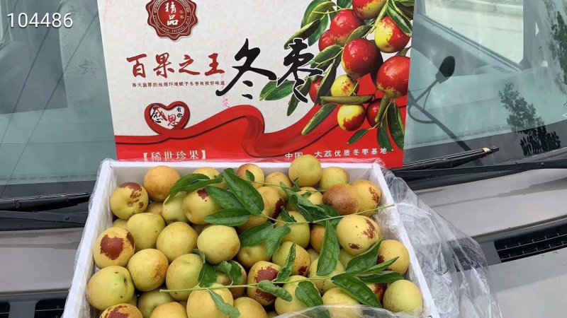 大荔冬枣