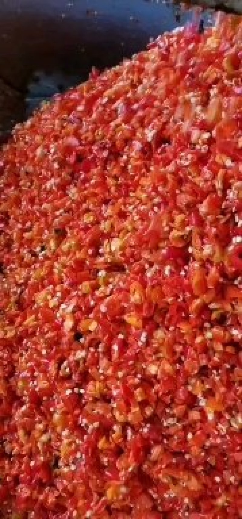 金塔精品剁椒辣椒主产地，