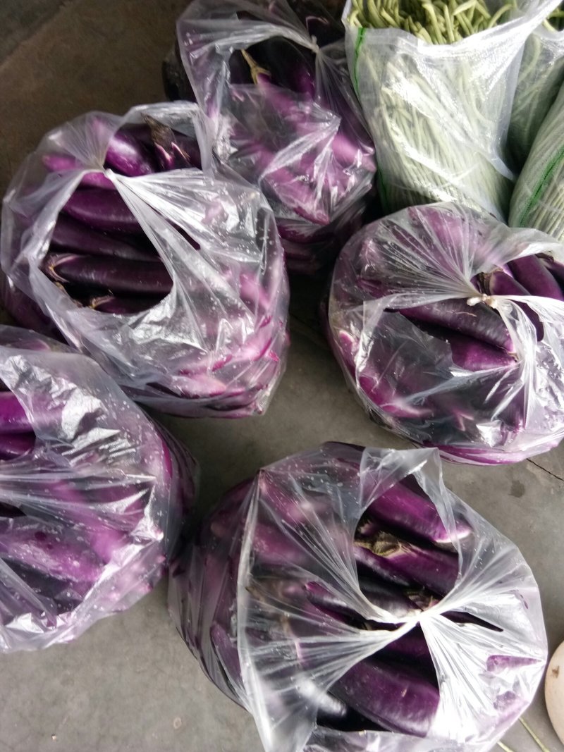 红茄子（新鲜红茄子现货）