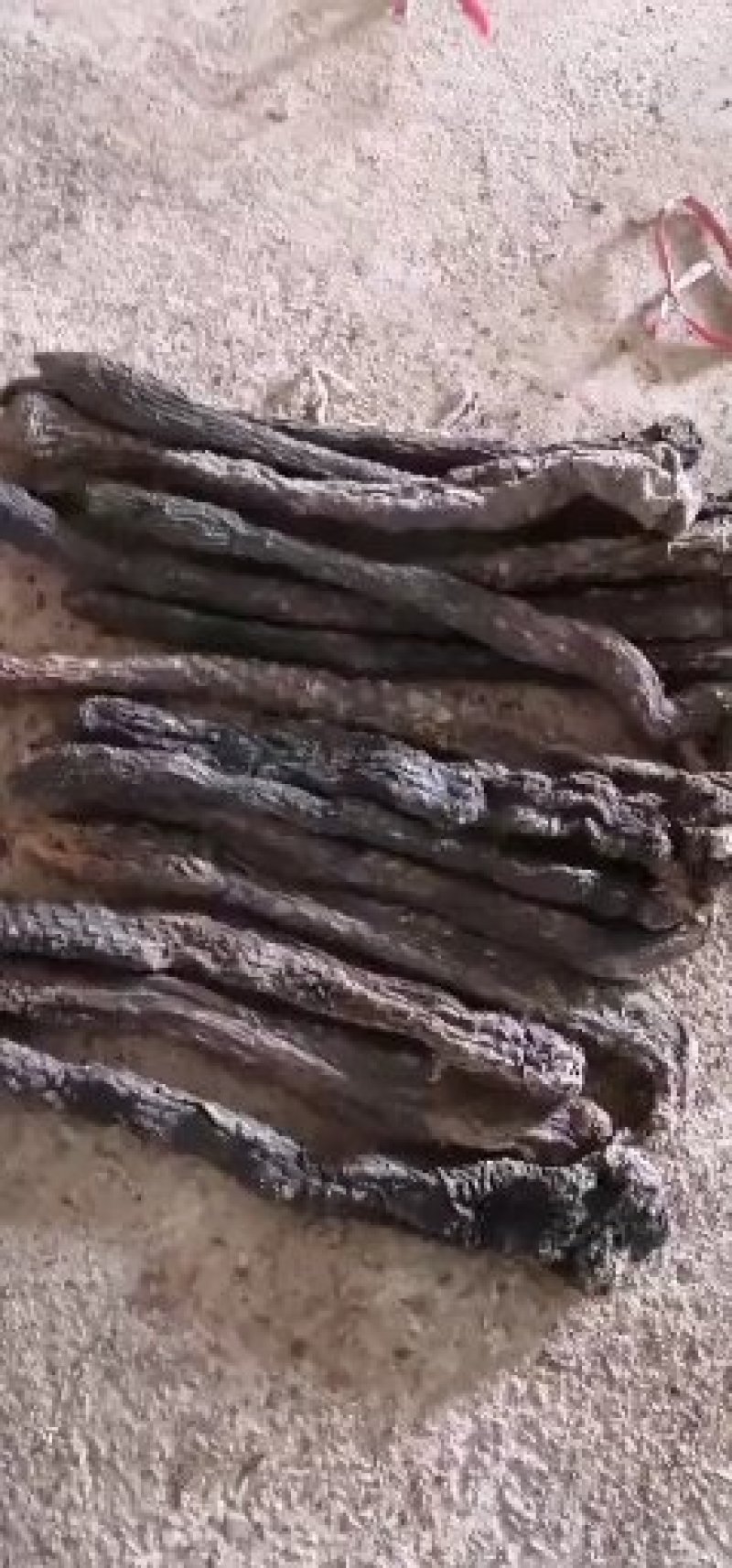 需要肉苁蓉片的进来看看