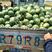 西瓜大量上市美都100亩，甜王西瓜大量有货。