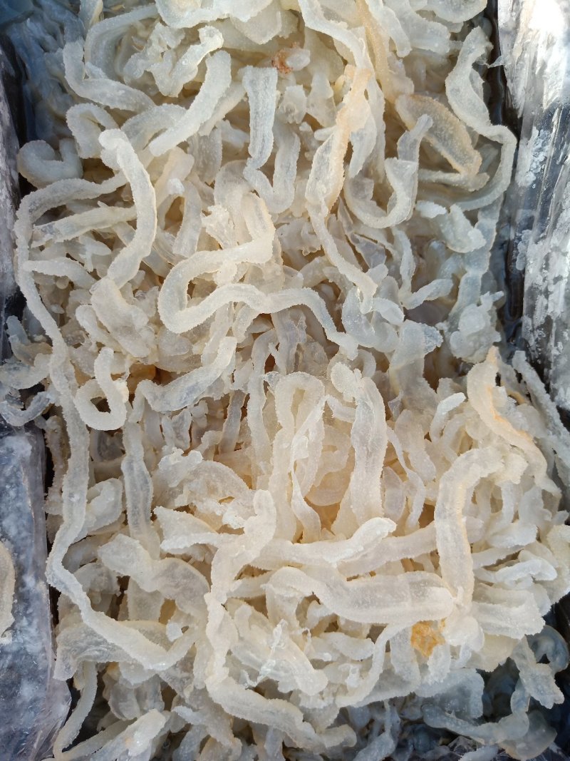 海蜇丝，海蜇头产地直发，大量有货。不包运费