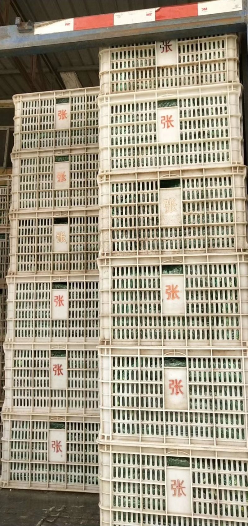 精品西葫芦，面积大，质量好，大量成熟上市。可实地看货