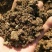 纯牛粪纯干牛粪块颗粒牛粪增加土壤肥力改善土壤厂家