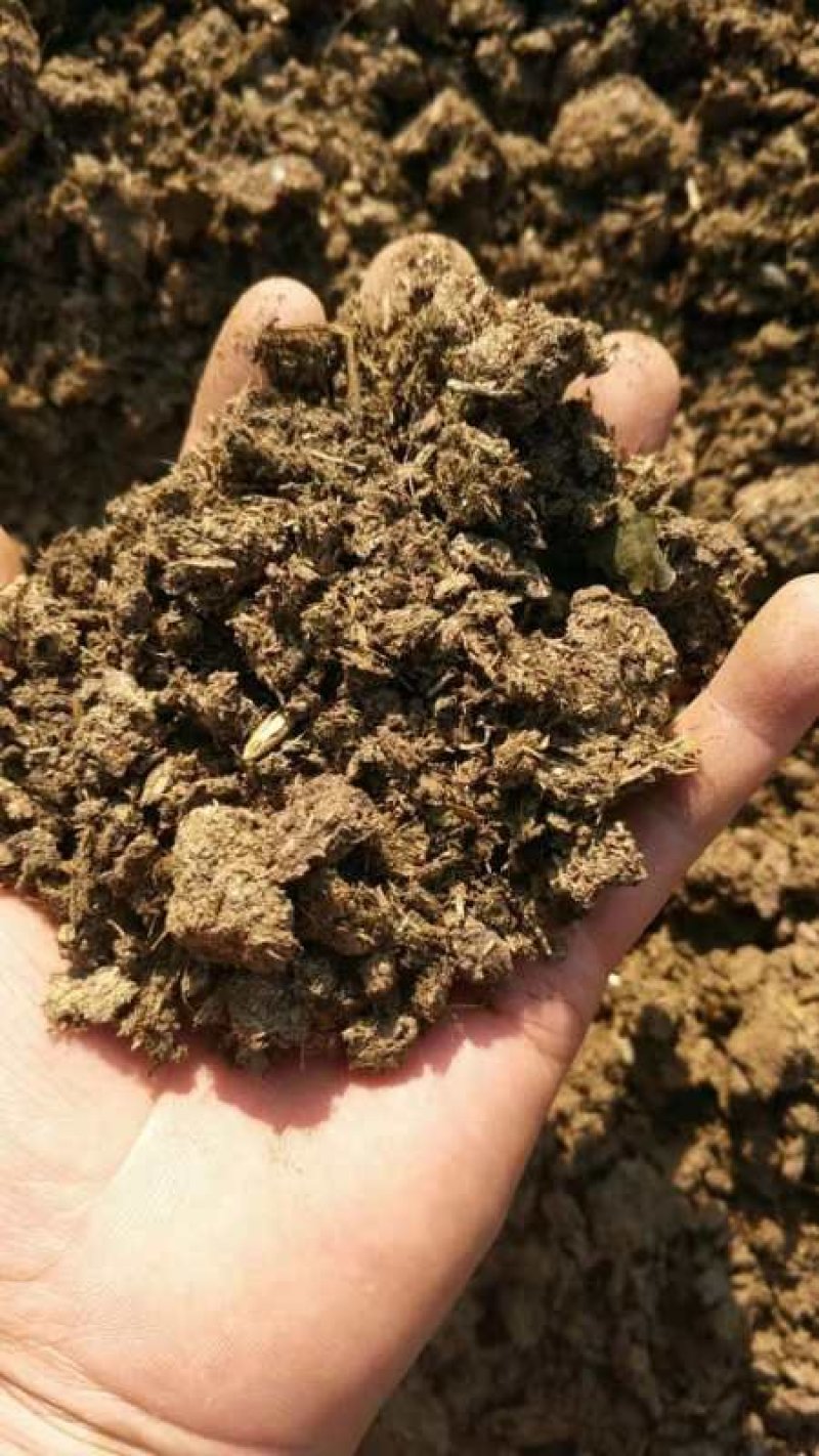 纯牛粪纯干牛粪块颗粒牛粪增加土壤肥力改善土壤厂家