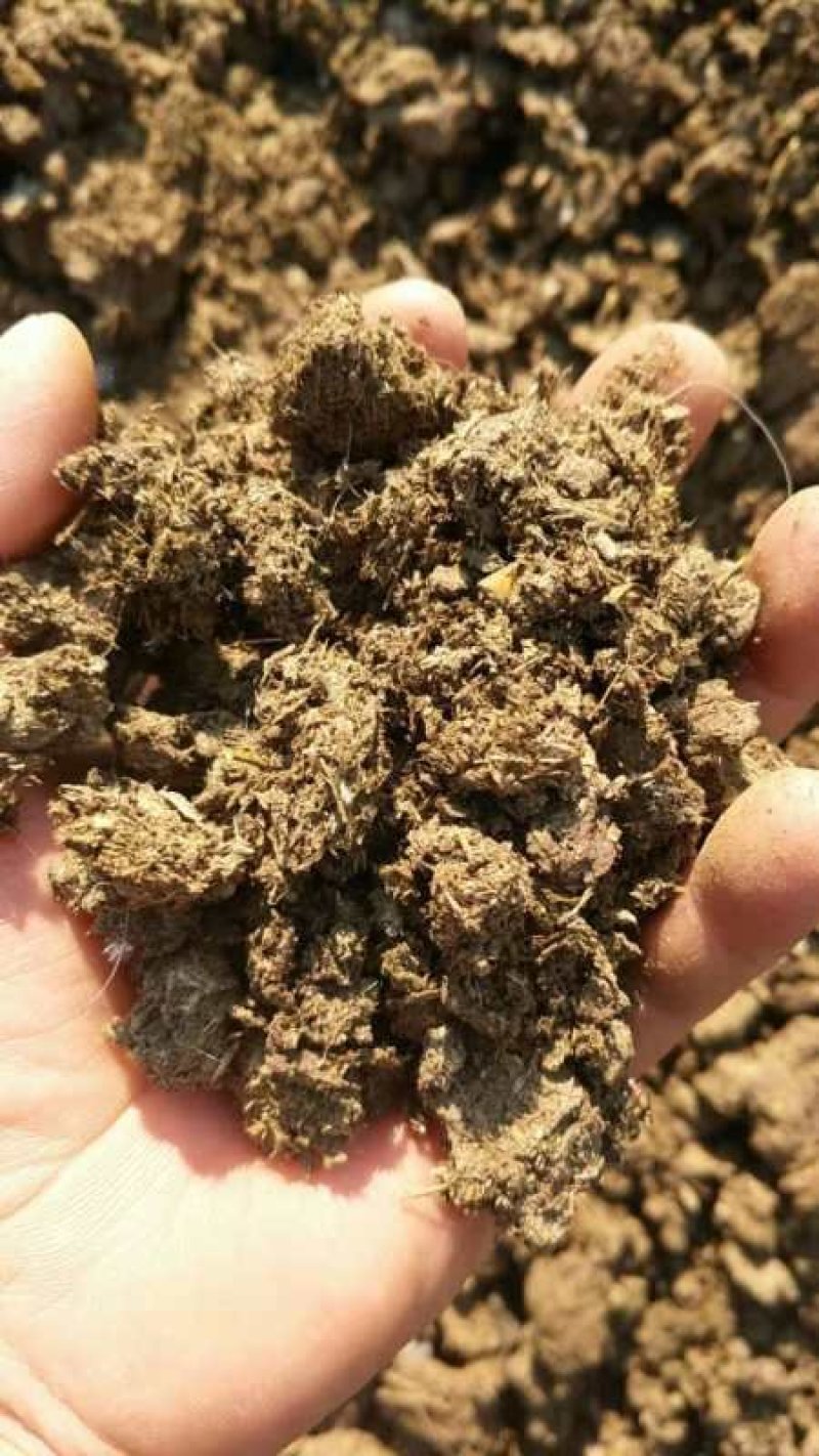 纯牛粪纯干牛粪块颗粒牛粪增加土壤肥力改善土壤厂家