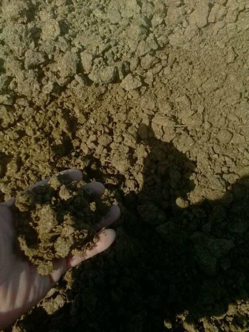 纯牛粪纯干牛粪块颗粒牛粪增加土壤肥力改善土壤厂家