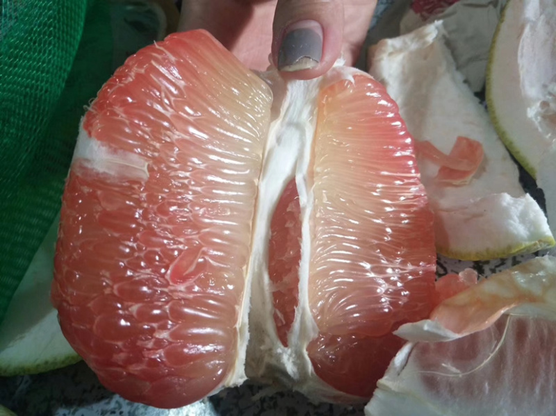 进口青皮柚子大量到货产地直销品质保证