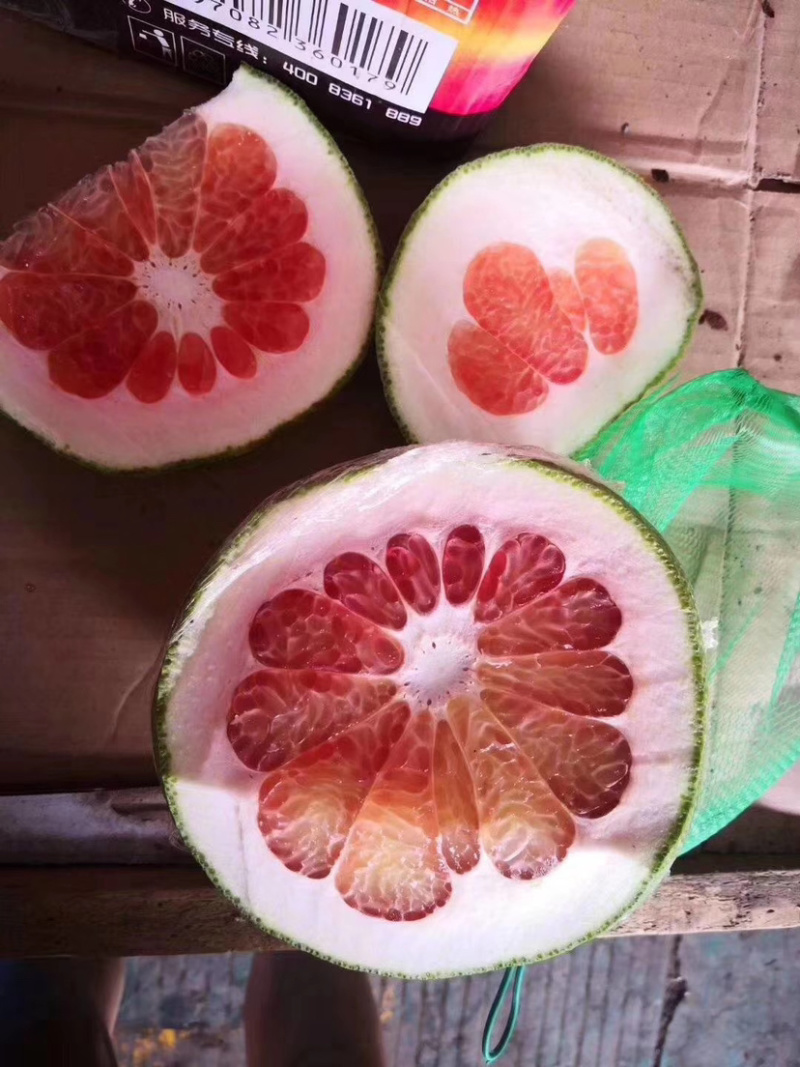 进口青皮柚子大量到货产地直销品质保证