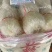 豌豆粉丝红薯圈圈粉火锅粉跑江湖地摊早市产品,厂家直销