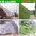 狗牙根护坡耐高温耐寒草籽矮生耐踩踏无需打理
